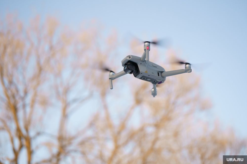 ������� ������� ������� ������� ����������� ���