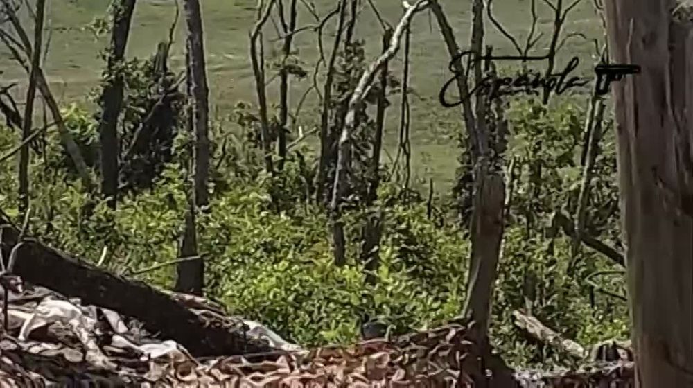 ��� �������� ������ ������ ���������