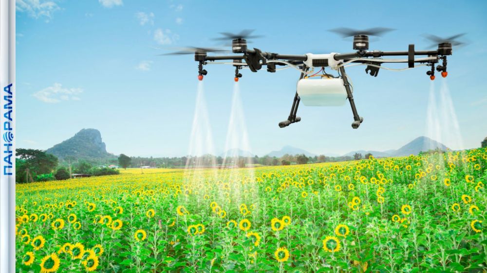 ����� �� ������ ������: ������� �������� ������������� ����������� ������ � ���������� � ���