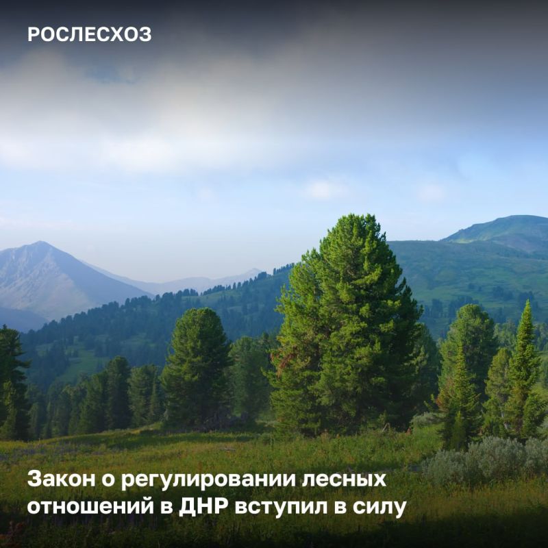 � �������� ������ ������������� ������� ������, ������, ��������������� � ������������� ����� � �������� �������� ���������� �� ���� ���������� ������ - �� 2026 ����