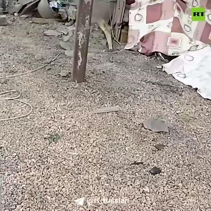 ��� �������� ������� �� ������� ��� ������� �������� ����