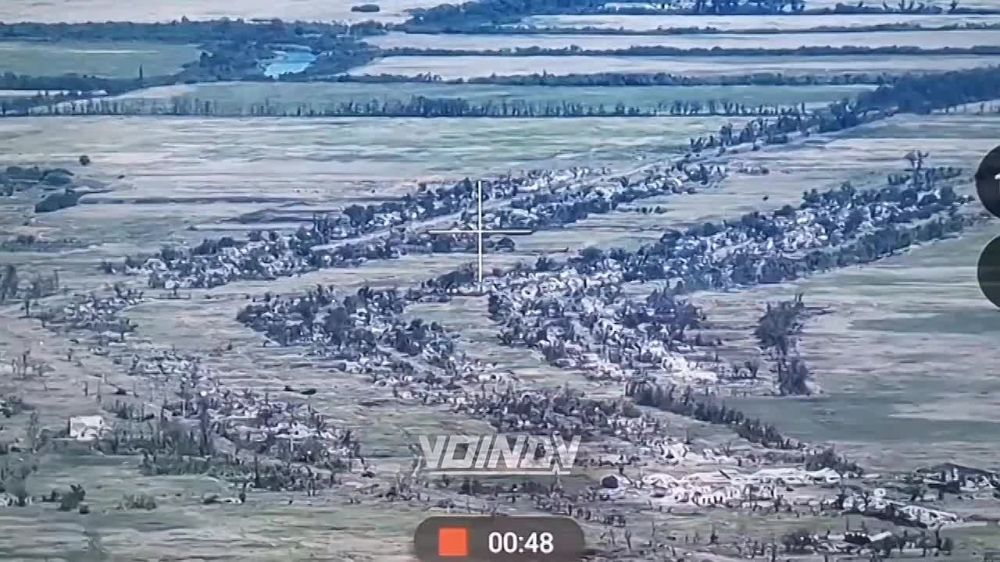 ������ �������: ����-�������� ����������� � � ���������,� ���� ���� ����������� ������� ���������� ������ �����