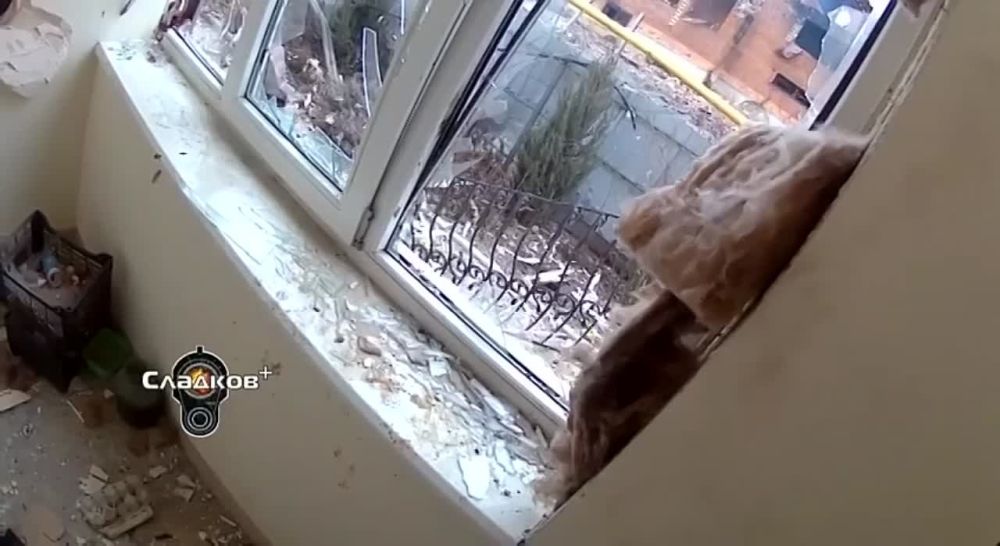 ��������� �������: ���� �� ������ ������� ����������� ��� � �����������