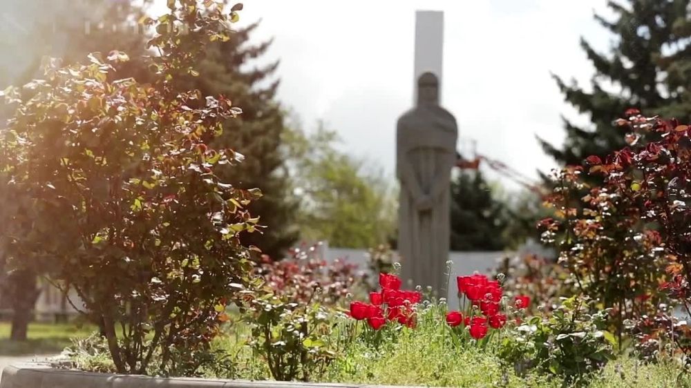 Александр Малькевич: Не хватит и сотни программ, чтобы рассказать обо всех удивительных местах и потрясающих людях новых регионов России!