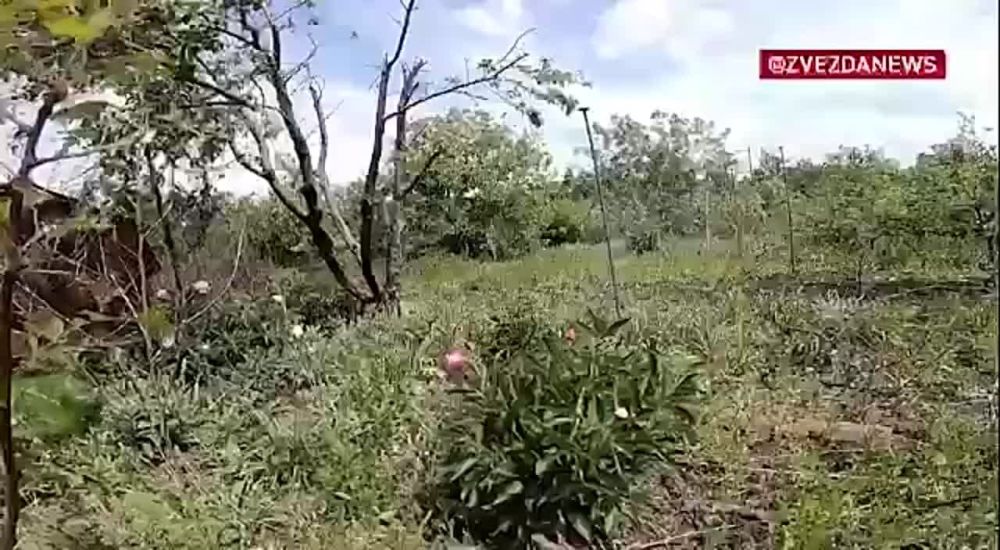 ����� ������ ������������� ������ �������������� ���-3 � ������������������ ��������� �������������� �����-6� �� �� �� ���������� �����������