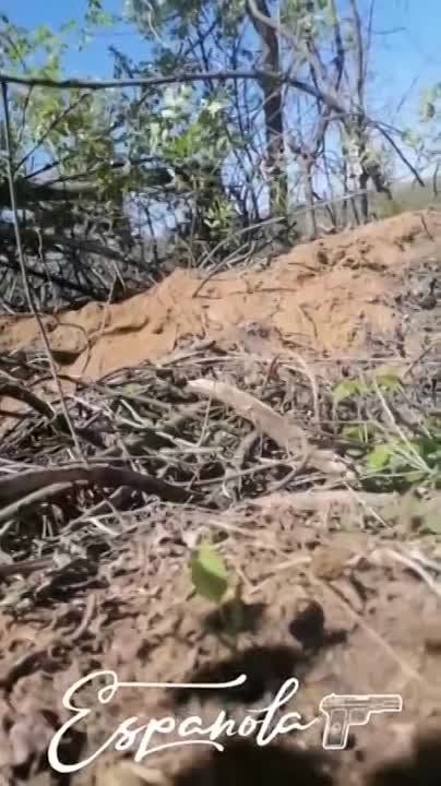 ������� �����: ��������� ��� ���� ����� �� 88-� ���� ����������, ��������� �� ����� ���������� �������, � ���, ��� ��...