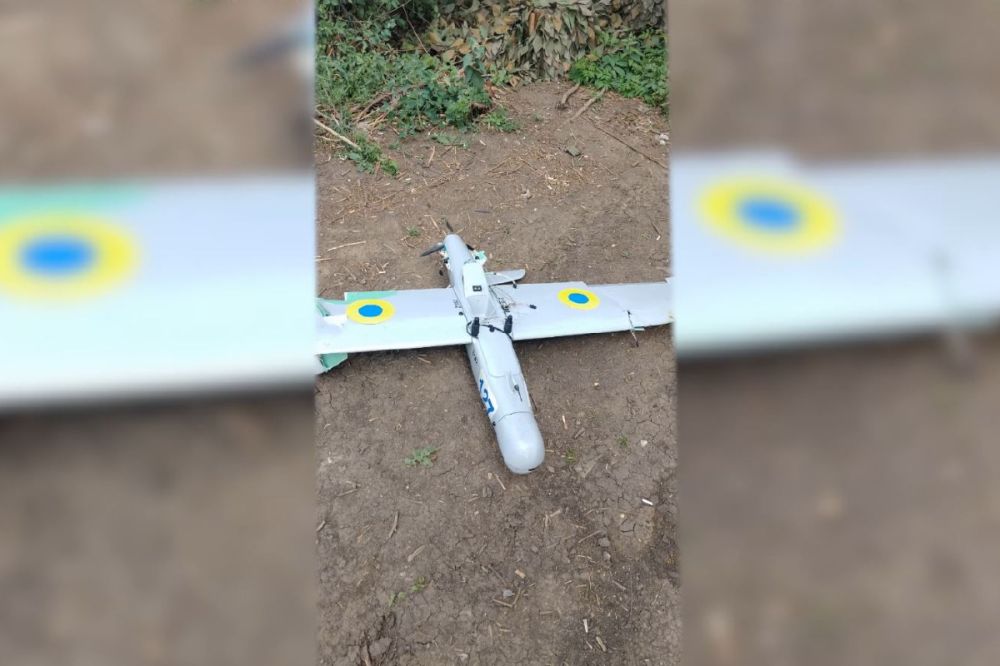 ������������� ��� ���������� ����������� �������� � ������������ ����� ���