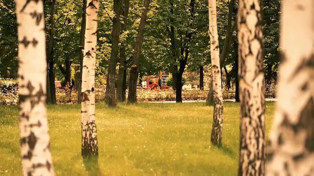 � ������ ����������� ���� � ������ ���������� ���� ������ - ������� ���������������� �������� ���� ���������� � ����� ���������������