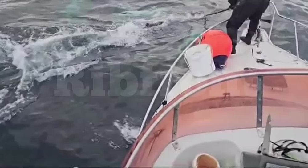 ����� ���������������� �������� �� �������� ���������� �������� �� �������� ���� ���������� � ���������� ����