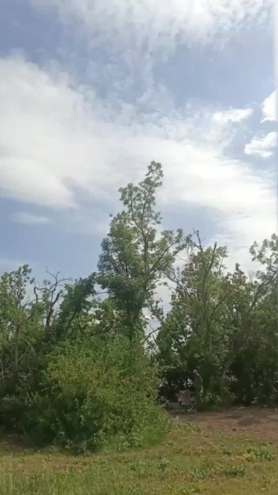 ���������� ��: ������������� ��� ���������� ����������� �������� � ������������ ������ ���
