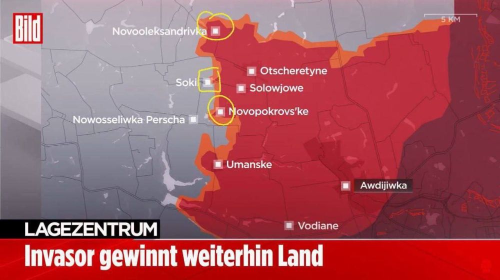 ���� ��������: �� �� ����� ����� �� ����������� ������� � ������ �� �������� - ���� ����� �� BILD