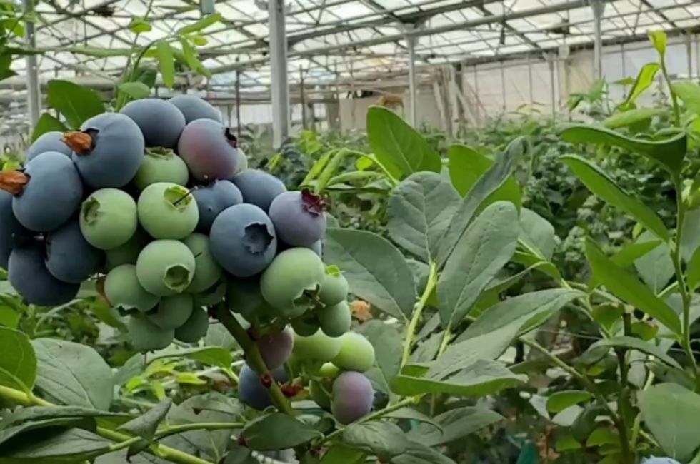 ��� �������� ������ �������� ��������, ��� �������� �����������