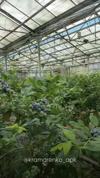 � ��� �������� ���������� ��������!