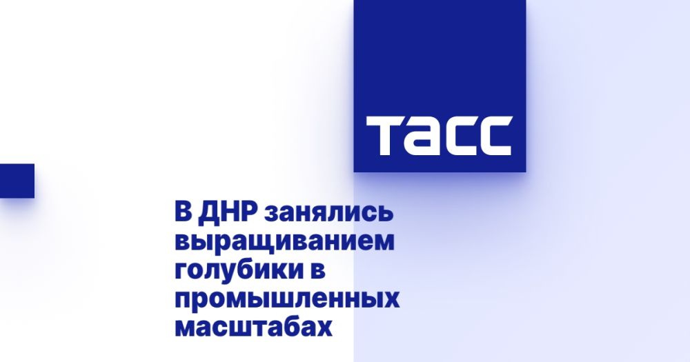 � ��� �������� ������������ �������� � ������������ ���������