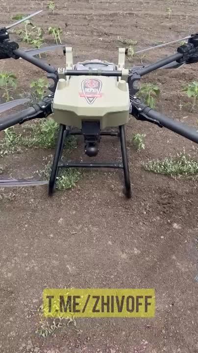 ������� �����: ���� �� ����, ����� ����� �������� ������-������������ ���� "�����", � ���� ���� ��� ����� �� ��������� � ������������ ������� � �������� �������� ���������