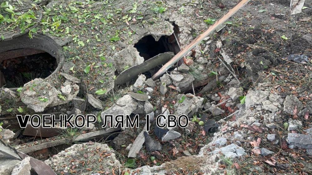 ������ �����: ����������� ������� ������� �� ���� �������� ������ ���� � ���������� ������ �������