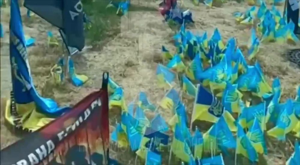 ���������� ������: ��������� ���� ����������������?