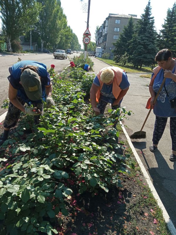 ���� �����������: ������ ������������ ����������� ���� ��������� ������ �� ��������� ������� � ������� �� ���������� �. ������: