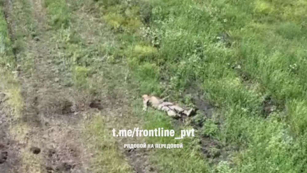 ����� �����: ��������� �����������. ������ "����������� ������������". ���� ��������� ����� ������ ���� ����� � ������ �����...