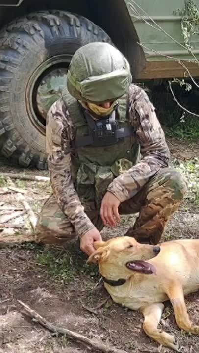 ������� ���������: ��� ��� ����������� ����� �� ������ ���� ���