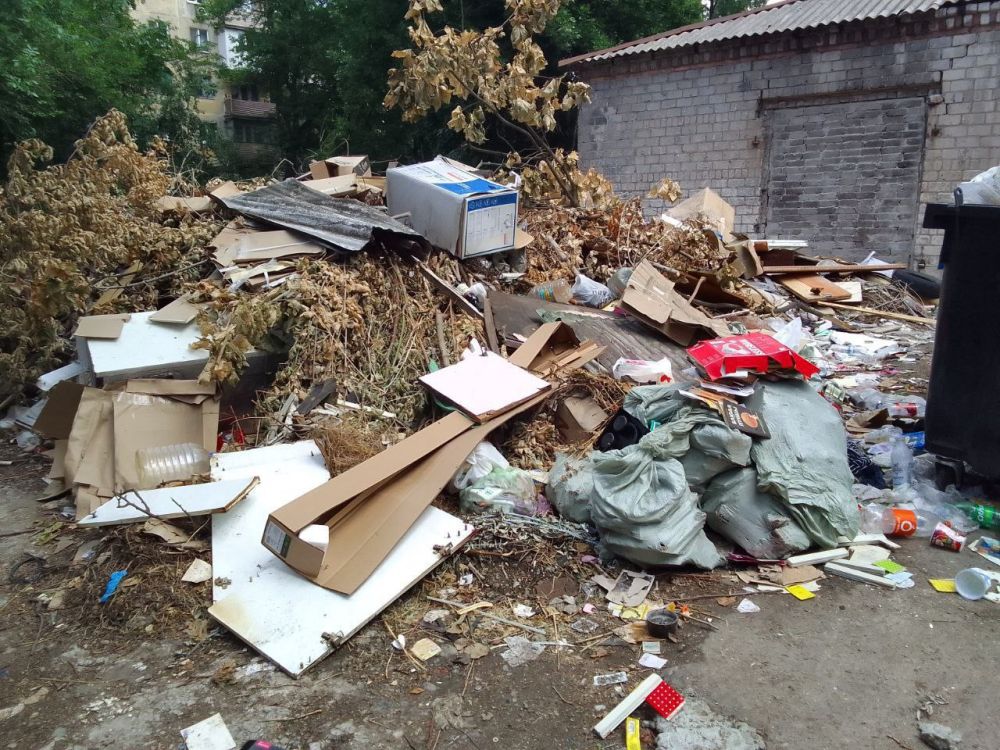 ������� ������: �������, 19 ����, ������� ������������ ���������������� ������ ���������� ������ ������ ��������� �...