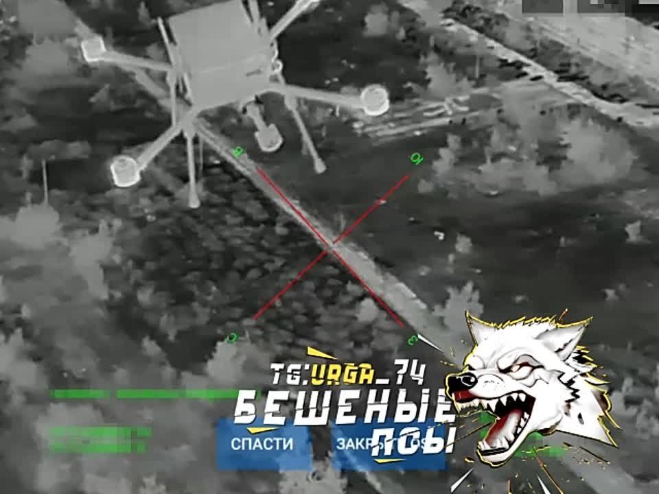 ��������� �������: � ������ ������ ���� ���� ����� "���� - ���" �� ��� - ��� ����������� � ����� ������� ������� ��� �� ���������� �����������