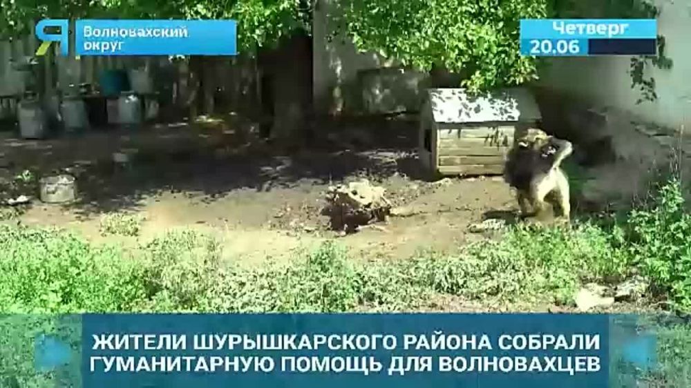 ���� � ��������. �������� ������ �� �������