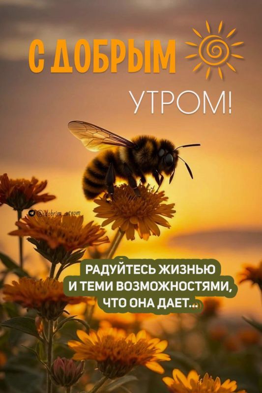  20.06.2024  22.06.2024 ,  08:00  09:00,  ,  15:00  16:00,       110,      :