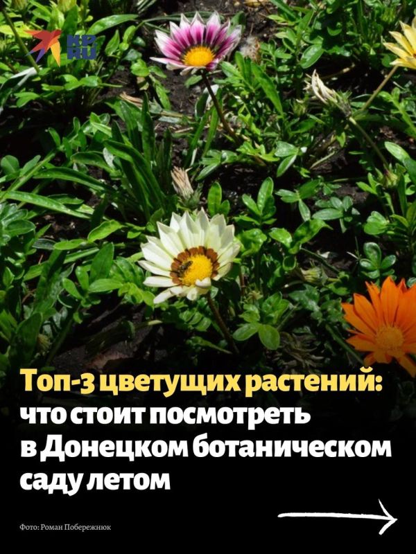 �������� ������������ ��� � ���� �� ����������� ���� ������ ������� ������� � ������ ������
