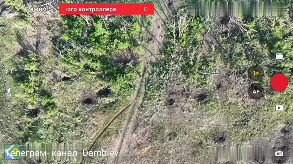 ������ �������: ��������� 14 ����������� ������� ��� ���������� ��������� ������ ���������� �������� ����������� � ������� �� ����-�������� �����������