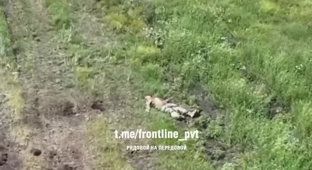 ��������� �������: �������� ����� ������ ���������, ������� ������� ������� � ����