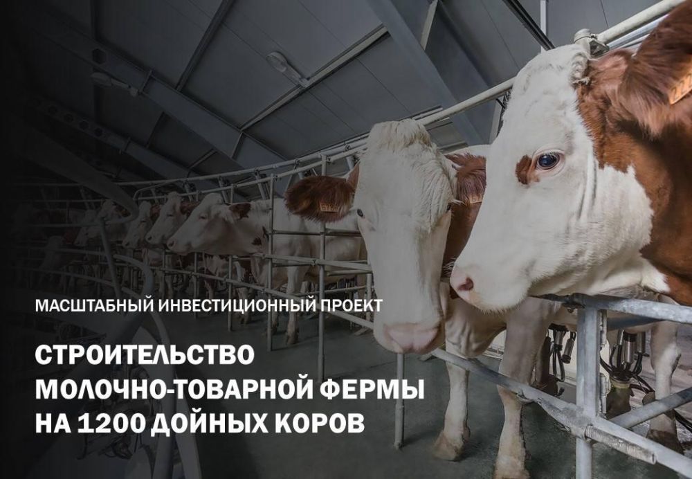 ��������� �����: � ���������� ������������� ������������� ����������� �������-�������� �����