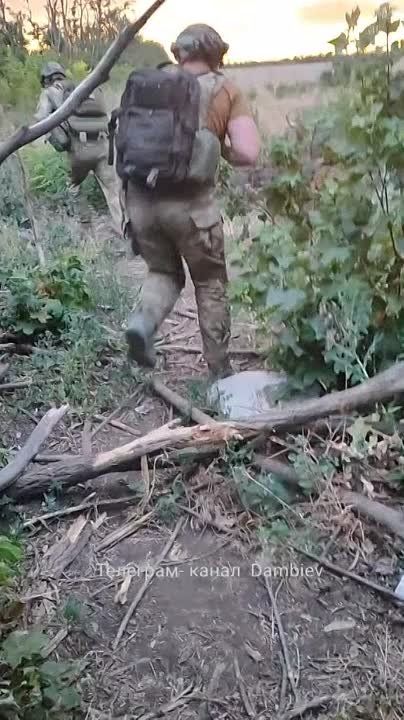 ������ �������: ������������ ������� fpv-������ ���������� ���-1 �� ����-�������� �����������