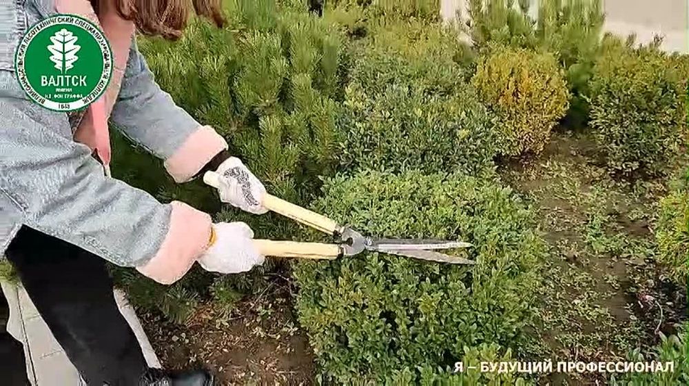 ����� ����������: ����������� � ����� ������������������ ��������������� ������������������ ������� ����� ������� ��������� ��� ������