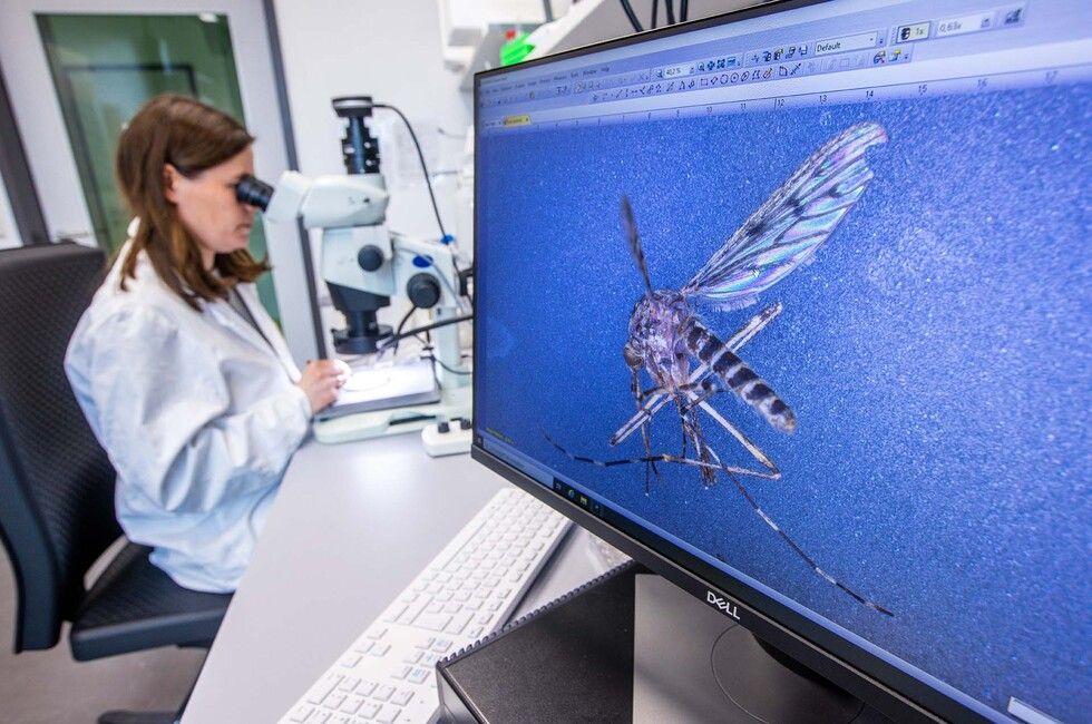 �������� ������ ���������� � �������� ���-��������� ��������� ���