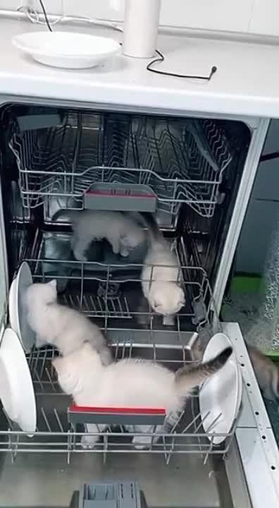 �������-�� �������� ����� ������������� �����