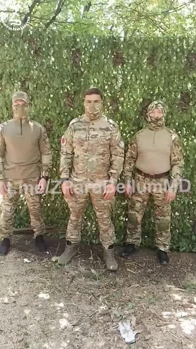 ����� �����: ���� �� ���������� ��� ��� �������ۻ