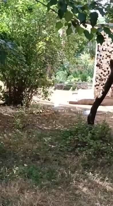 ������������ ����� ������� ��. �������� 12�