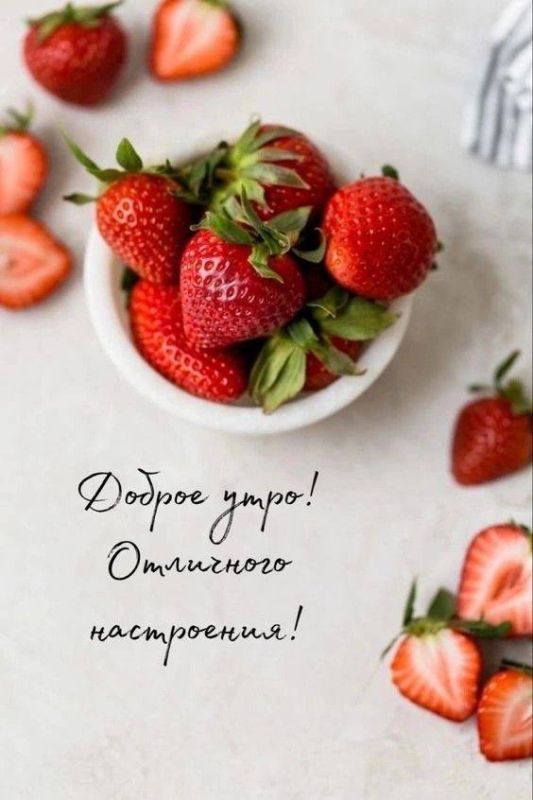 ������ ����!. ����� ���� ���� �������� ����� �������! ����������� ���� �������������