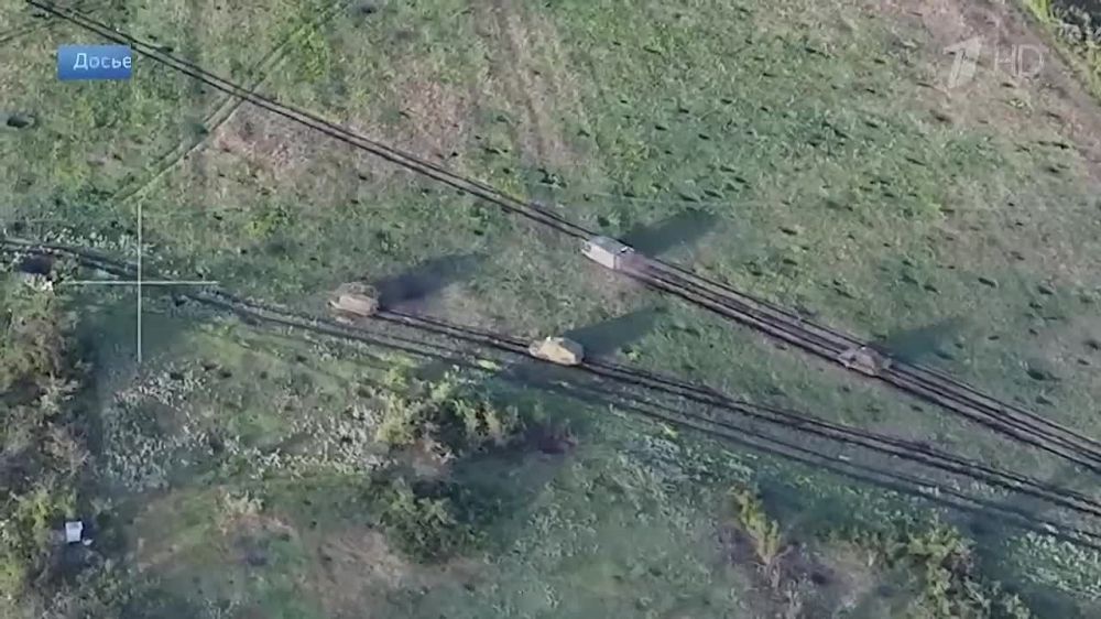 ������� ������: 50 �������������� ��� 4-� �������! ������� �� ����� � ����� ����!