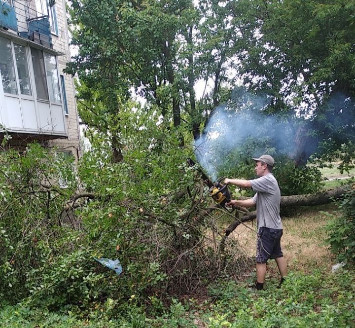 ���� �����������: ������ ������������ ����������� ���� ��������� ������ �� ��������� ������� � ������� �� ���������� �. ������: