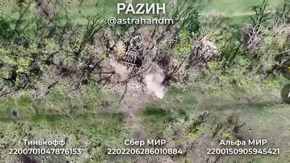 ������� ���������: ������, �� ���������� ���������� ���� ������� � ���������� ������� � ��������� ��������� 110 ������� �� ��, ����������� �� ����������� �����������