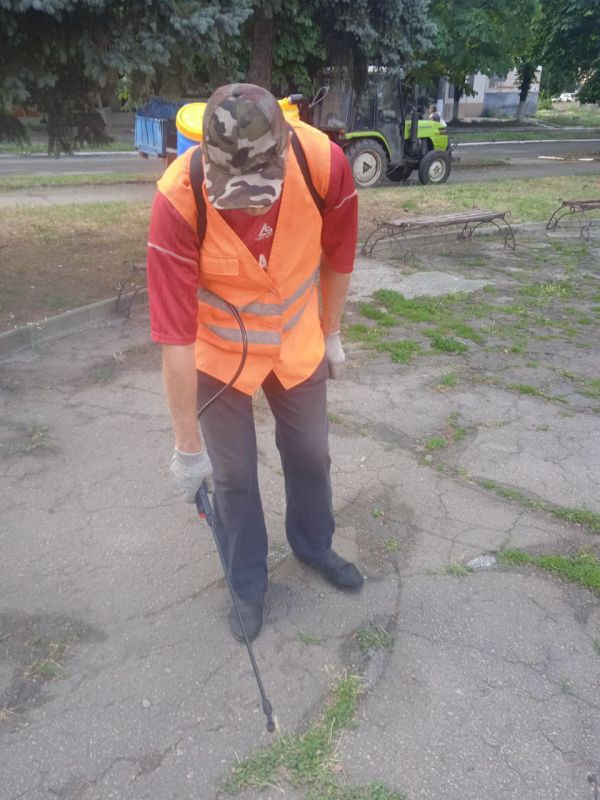 ������ �������: ������� ������ �� ���������������