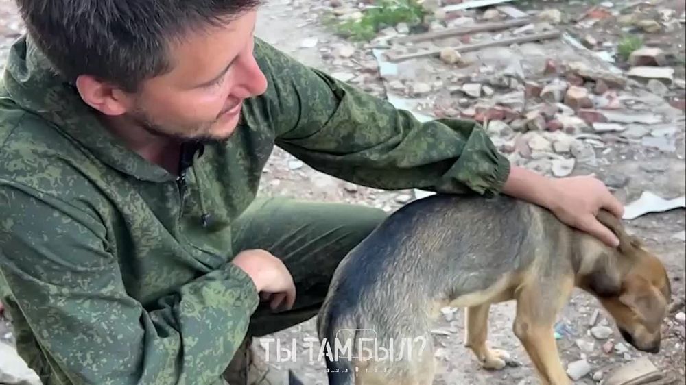 Павел Кукушкин: Краткий репортаж с ротации бойцов интербригады «Пятнашка» на Часов Ярском направлении!