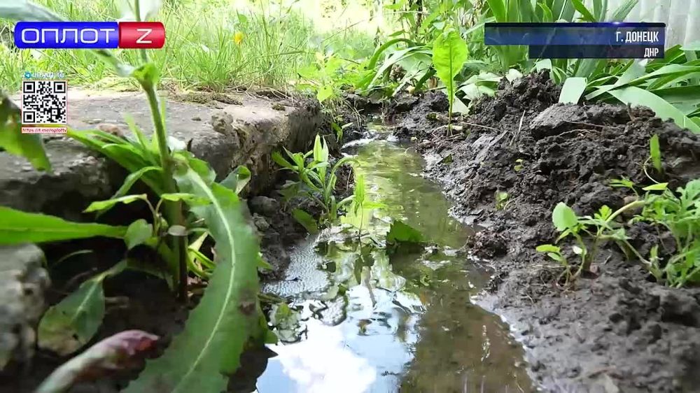 �������� ���� ����������� ����� �������