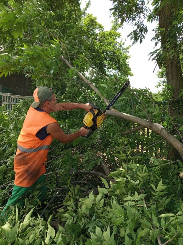 ���� �����������: ������ ������������ ����������� ���� ��������� ������ �� ��������� ������� � ������� �� ���������� �. ������: