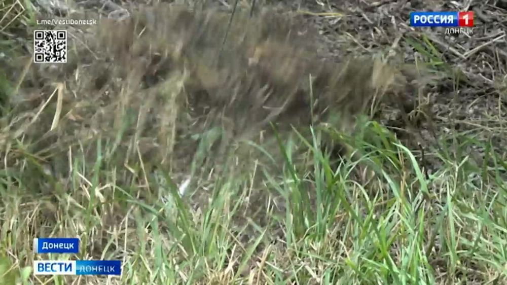 �������� �� ���������� �������� � ������� ������ �� ������ ������������� ������ ������� �������� ���������� ������������