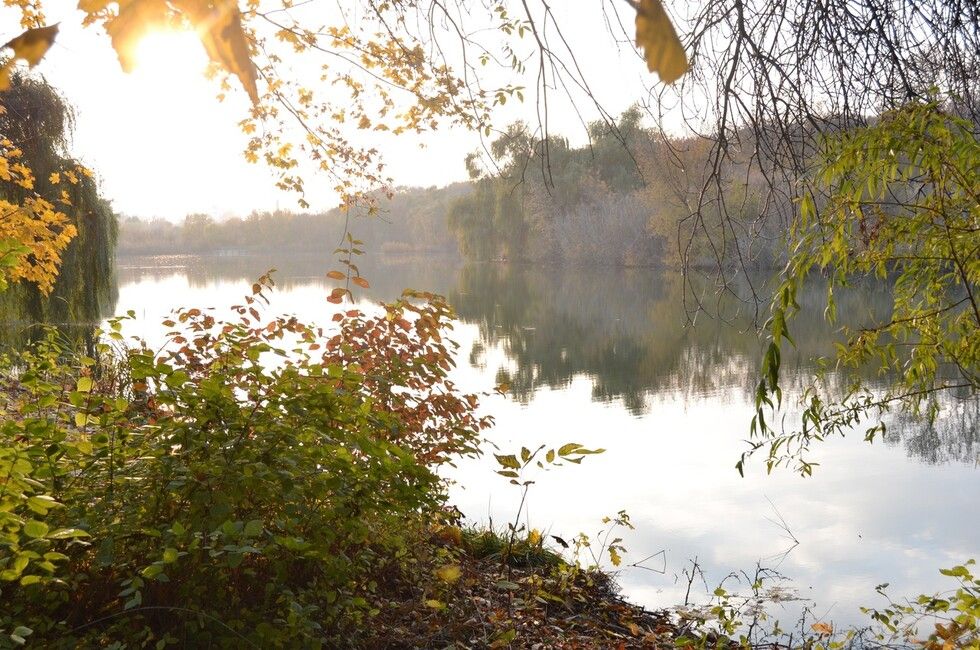 �������� �������� ��������, 27 ����