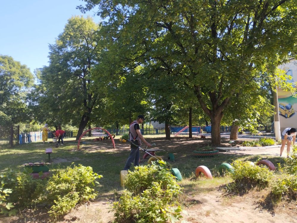 ���� �����������: �������, 27 ����, ���������� ������������ �����������, ����������, ����������� � ������ ����������...