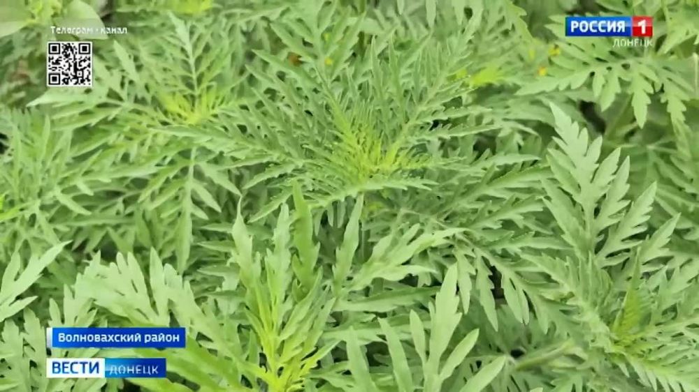 ���������� ������������ ��������������� ��������� �������